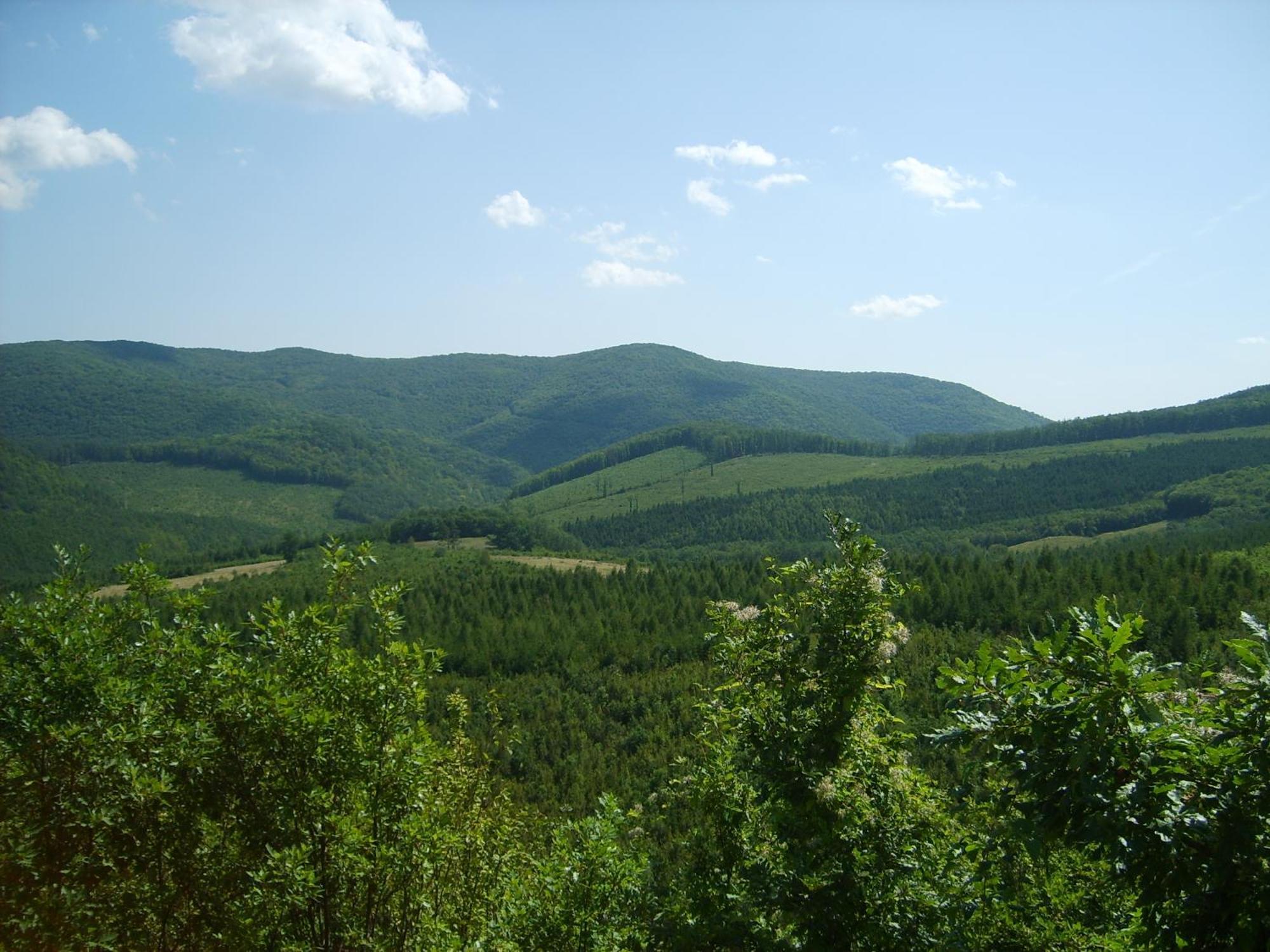 Bed and Breakfast Alabastrom Panzio Es Etterem Богач Экстерьер фото